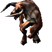 Meraktus